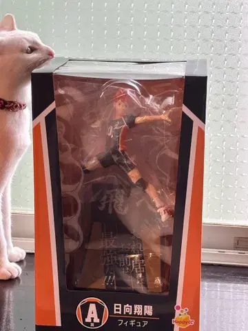 히나타 쇼요 Happy 복권 피규어