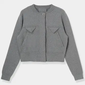 Compact Knit Cashmere Blouson / gray