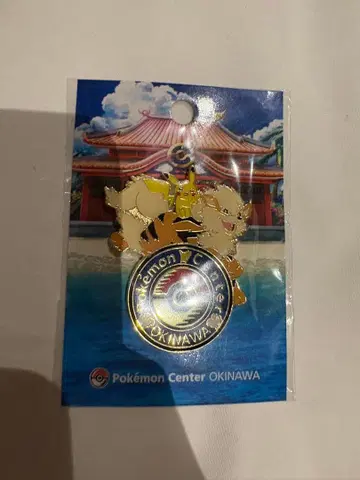 포켓몬 센터 오키나와 로고 핀즈 피카츄 윈디