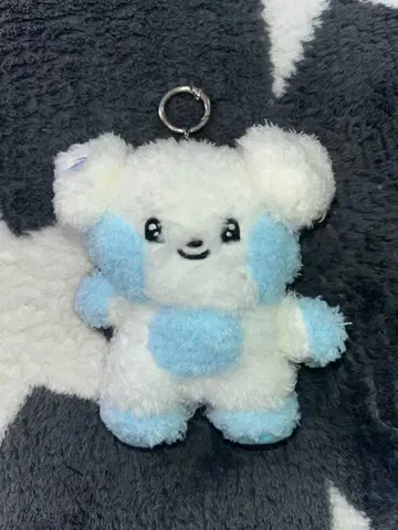 zb1 zeroni 니 봉제 인형