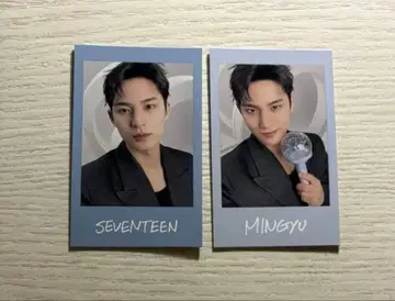 seventeen 세븐틴 인스턴트 사진 민규