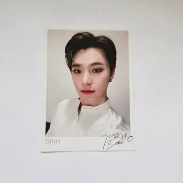 SEVENTEEN 세븐틴 DINO 디노 폴라로이드풍 양면