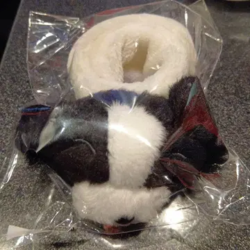 sumika 이로하 밴딩