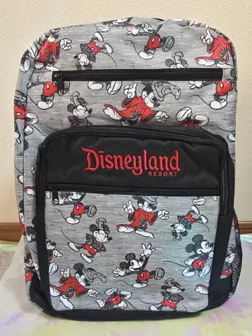 [ 해외 디즈니 ] 캘리포니아 디즈니 백팩