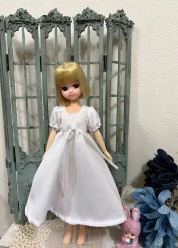 리카짱 커스텀 타카라토미