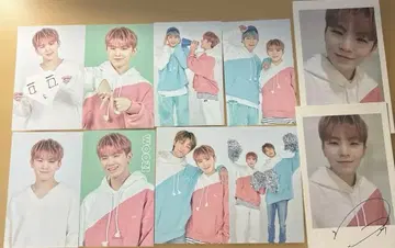 우지 2020 캐럿랜드 트레이딩 카드 컴프