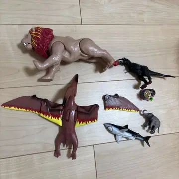 아니아 라이오스 코끼리 묶음 판매