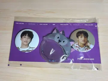 TREASURE 정우 캔 배지 세트