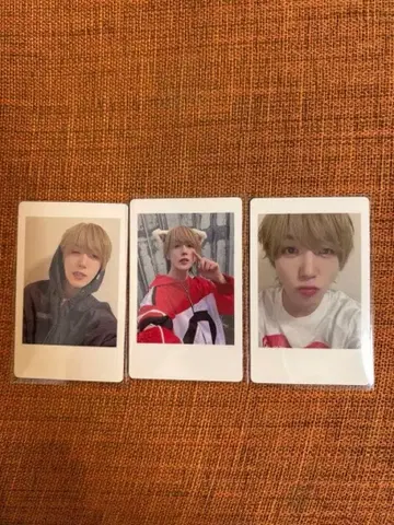 ReLIT 아야노 렌 47 투어 하피카