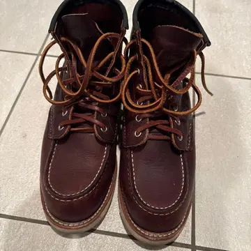 REDWING 레드윙 아이리쉬 세터