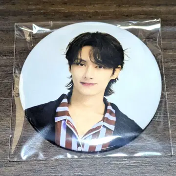 SEVENTEEN 준 캔 배지