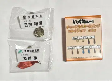 하이큐!! 참 포함 네임 배지 컬렉션 히나타 쇼요, 오이카와 토오루