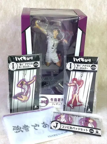 하이큐!! 우시지마 와카토시 피규어 외 (5점 일괄)