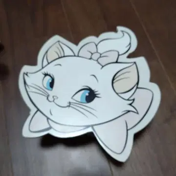 마리 고양이형 거울 수납 박스