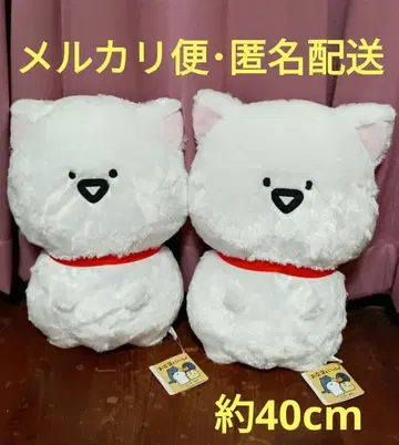 오분구와 함께 고양이로 변신! 봉제 인형 XL 프리미엄 2세트