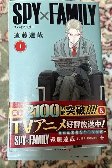 SPY x FAMILY 전 15권 세트