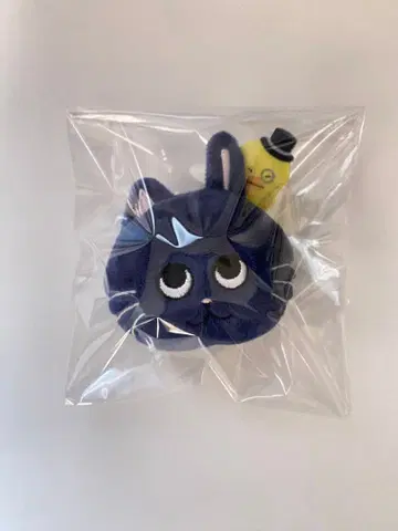 RIIZE 원빈 토냥이 인형 배지