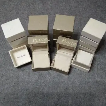 폰테베키오 케이스