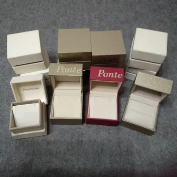 폰테베키오 케이스