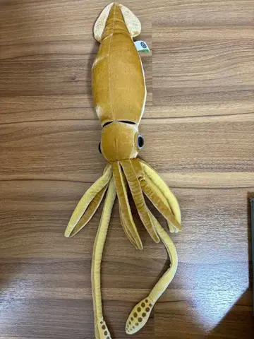 칼로라타 대왕오징어 봉제 인형