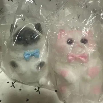 리얼 고양이 스퀴즈