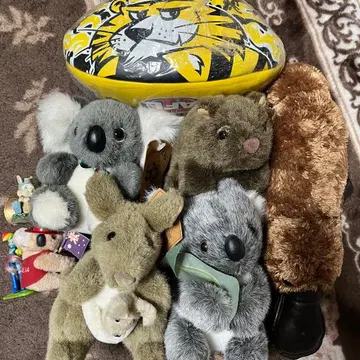 [ 별도 판매 OK ] 호주 봉제 인형 럭비공 세트