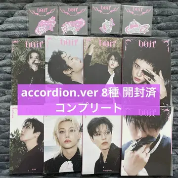 Stray kids DO IT accordion ver 8종 컴프