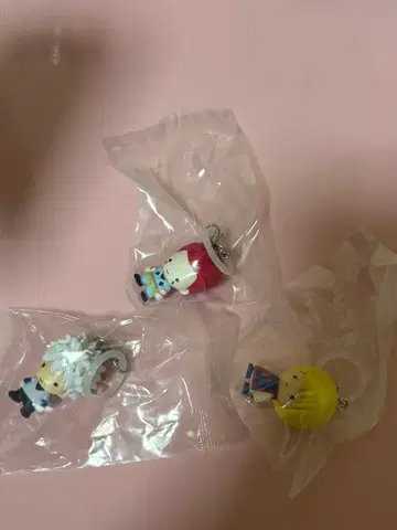 HUNTER x HUNTER 메지루시 액세서리