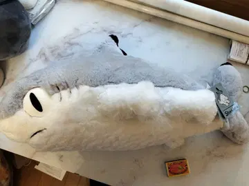 sharkitty 미사용 새상품 고양이? 상어? 봉제 인형