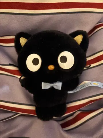 초코 캣 봉제 인형 키링