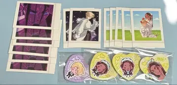 에이스테 루카 현아 묶음 판매