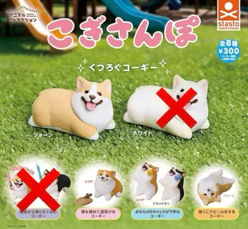 코기 산책 7마리 세트