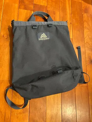 그레고리 Gregory 플래시 데이