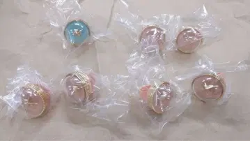 프로세카 세카라이 5th 라이트 7개 하나사토 미노리 히노모리 시즈쿠