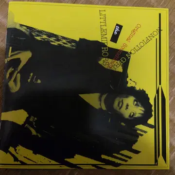 THE LITTLEPRORS NONFICTION GIRL