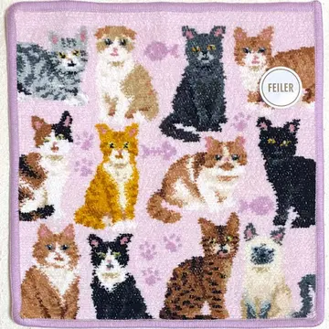 페이러 타월 손수건 마이 큐트 키튼