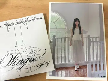 이케다 에레나 개인전 오리의 꿈 wings 노기자카46