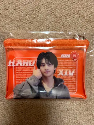 초특급 하루 REAL? 파우치 클리어 파우치