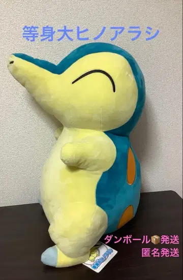 새상품급 등신대 히노아라시 포켓몬 센터 봉제 인형 특대형!