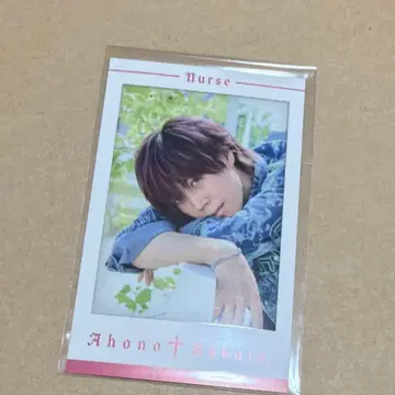 아호노 사카타 폴라로이드