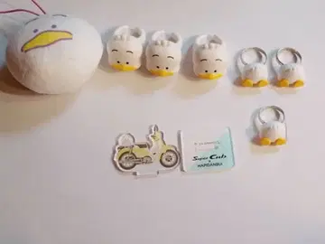 오리 페클 묶음 판매