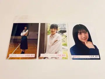 오다쿠라 레이나 브로마이드 3장 정적의 폭력 여름의 지름길 인정욕구