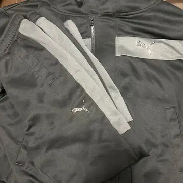 Puma 그레이 스트라이프 저지