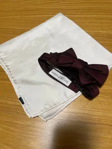 Dress the Life 신랑 나비 넥타이&포켓 치프