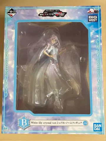 셰릴 피규어 제일복권