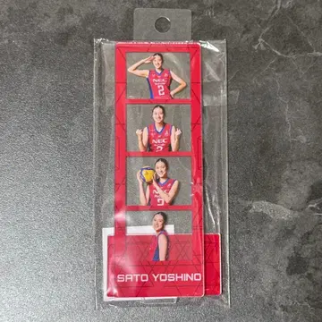 여자 배구 NEC 레드 로케츠 가와사키 4컷 아크릴 스탠드 사토 요시노