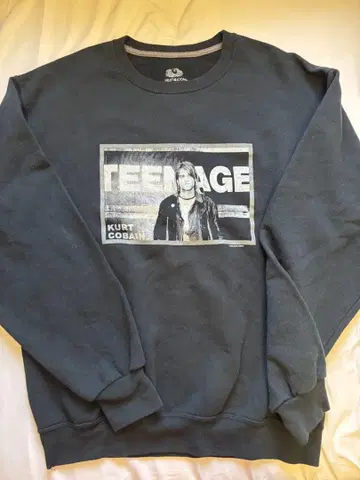 NIRVANA 맨투맨 프룻 오브 더 룸