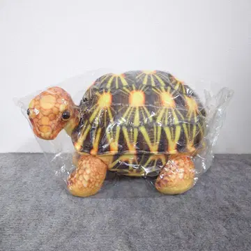 리얼 거북이 봉제 인형 브라운 별거북