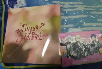 앙스타 스타포니4th 1일차 라이브 뷰잉 입장 특전 카드 별책 팜플렛