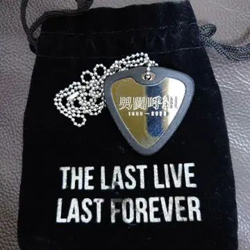 남도코구미 피크형 목걸이 실버